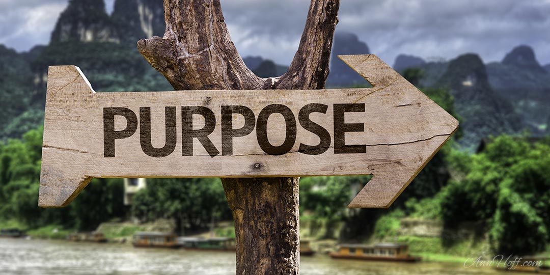 Purpose – an excerpt from Flourish by Ann Marie Hoff