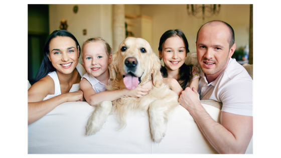 Did you know owning a dog makes your family healthier?