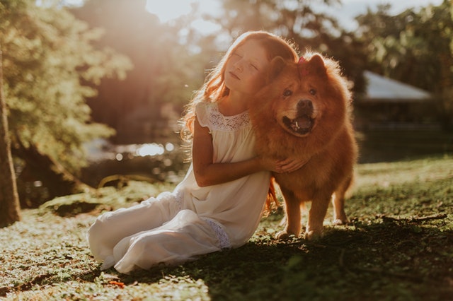 Ann_Hoff_Child_with_chow_dog