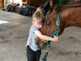 Horse & child