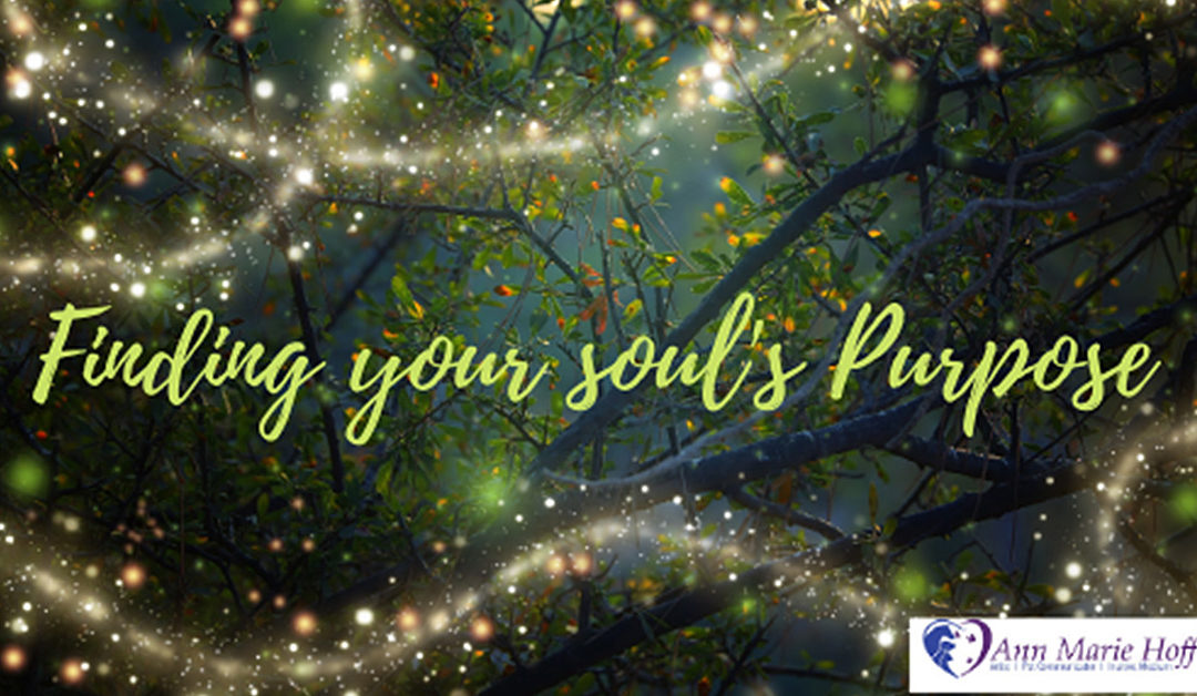 Finding your soul's purpouse
