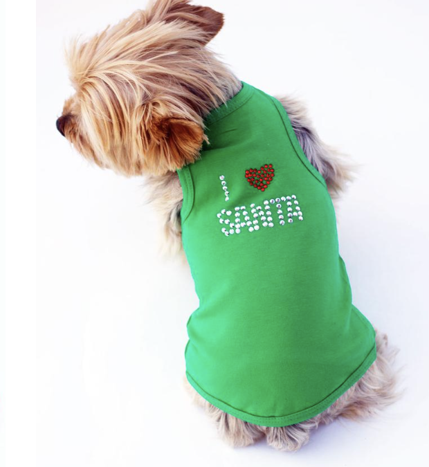 Dog Squad Clothes – Not Only for Dogs!