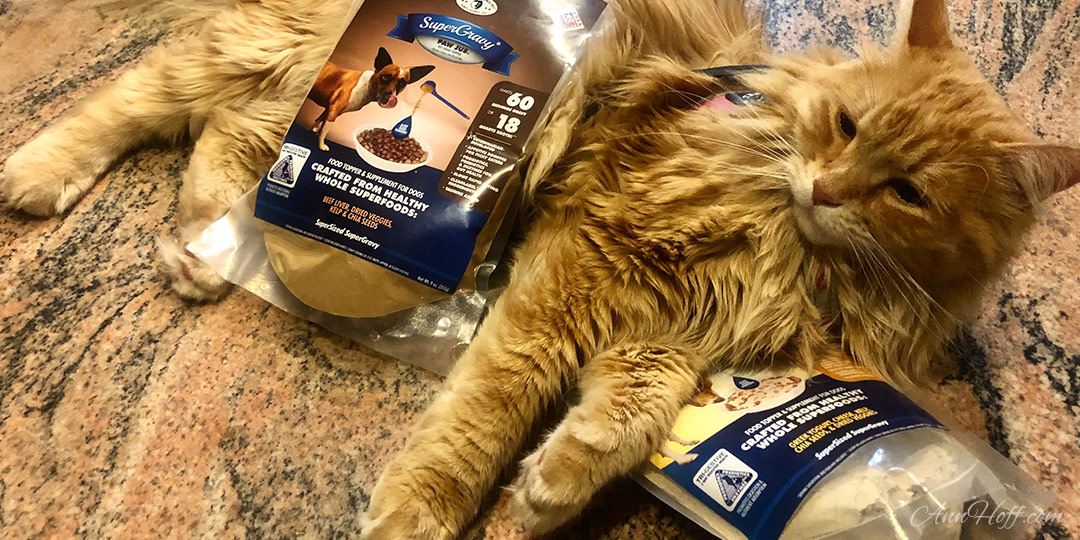 Product Review: Clear Conscience Pet - Super Gravy