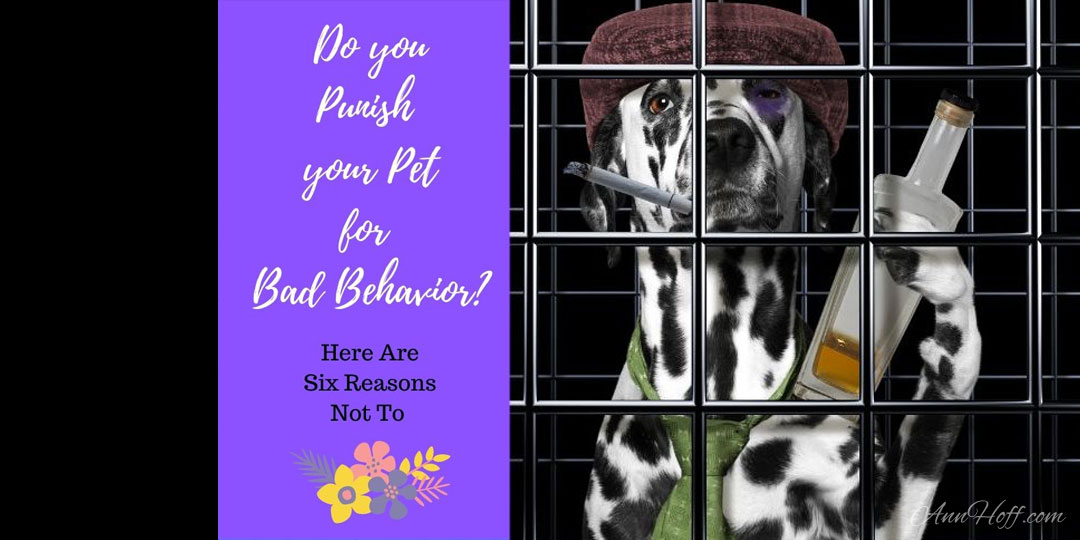 6 Reasons not to punish your pet for bad behavior